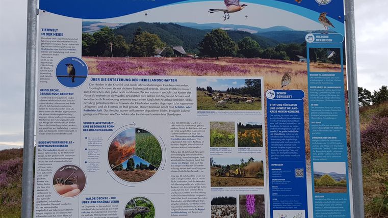 An information board about the juniper heaths. It displays images and texts about the flora and fauna of the region.