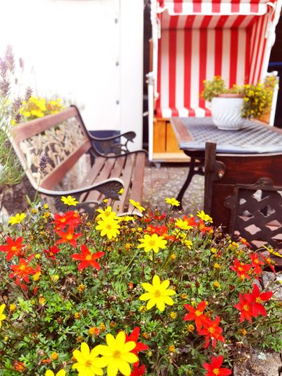 Ein schöner Außenbereich mit bunten Blumen in Rot und Gelb. Im Hintergrund sind eine Holzbank und ein Tisch mit einem blühenden Topf zu sehen.