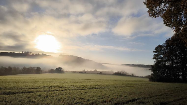 Eine malerische Landschaft mit einem sanften Nebel und der aufgehenden Sonne. Grüne Wiesen und Bäume vervollständigen das ruhige Bild.