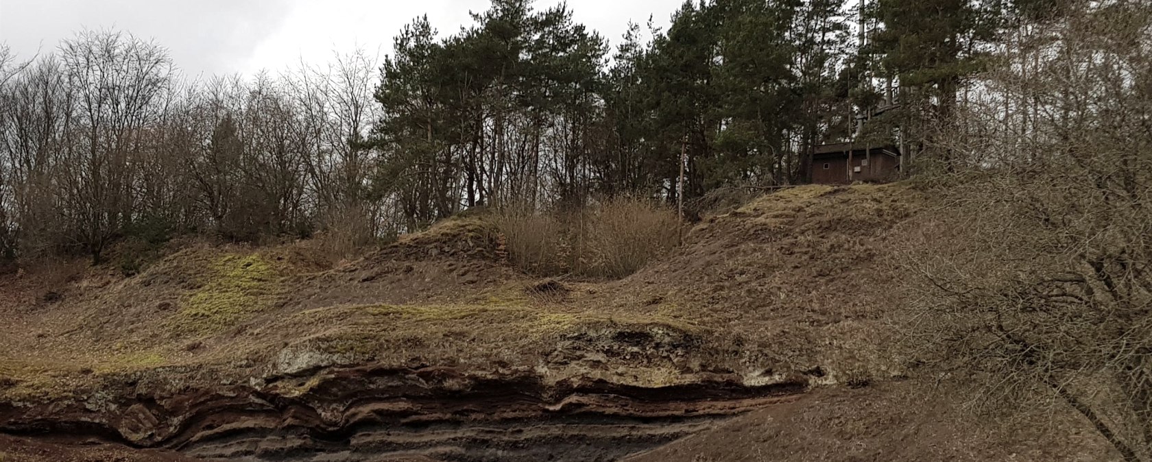 Kraterwand mit Blick auf den Booser Eifelturm, © Svenja Schulze-Entrup