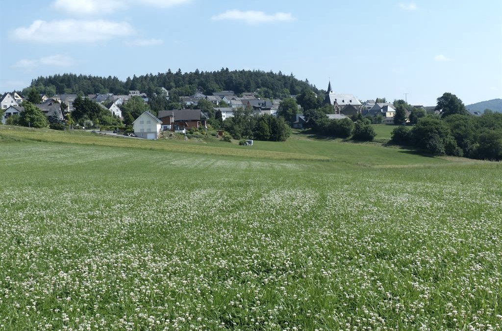 Blick auf Wanderath, © Foto: Verbandsgemeinde Vordereifel, Quelle: Touristik-Büro Vordereifel