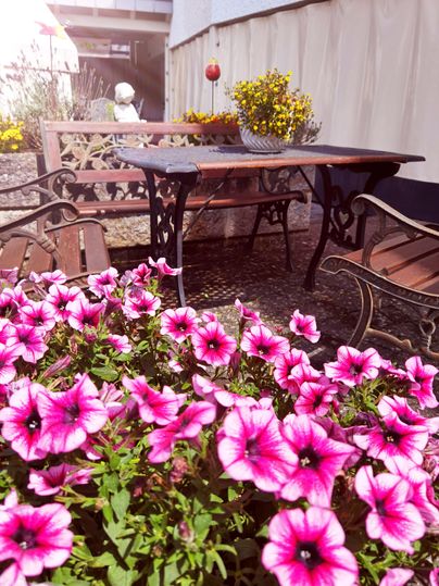 Ein schöner Gartenbereich mit bunten Petunien und einem Tisch mit Stühlen. Im Hintergrund stehen einige Blumen und eine skulpturale Figur.