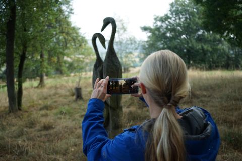 Eine Person fotografiert zwei Skulpturen von Schwänen im Freien. Die Umgebung ist mit Bäumen und trockenem Gras gestaltet.