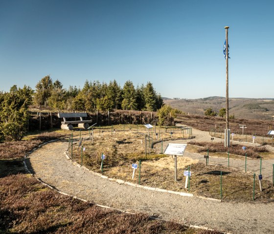 Aussichtspunkt auf dem Wabelsberg mit Bank, Fahnenmast und Infotafeln, umgeben von Heidelandschaft und B&auml;umen unter klarem Himmel., &copy; Eifel Tourismus GmbH, D. Ketz