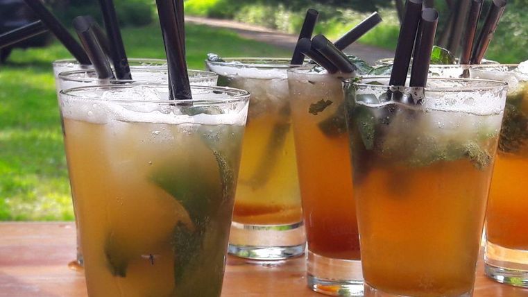 Refreshing cocktails with ice and mint in clear glasses. The drinks are on a table outside, surrounded by green nature.