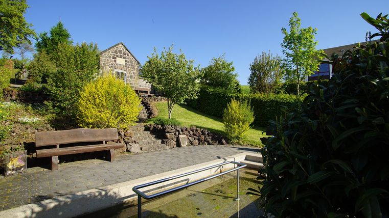 Ein schöner Garten mit grünen Bäumen und Sträuchern. Im Hintergrund ist ein Haus mit Steinfassade zu sehen.