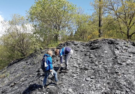 Erkunden der Schieferhalde, © Foto: Svenja Schulze-Entrup, Quelle: Touristik-Büro Vordereifel