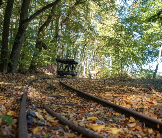 Lore dans le Winfeld de Kottenheim, &copy; Foto: Laura Rinneburger, Quelle: Touristik-B&uuml;ro Vordereifel