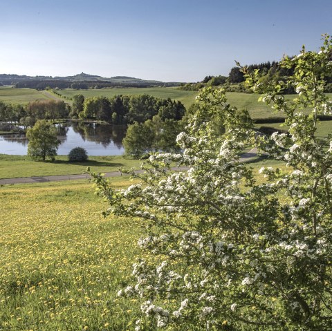 Traumpf&auml;dchen Eifelturmpfad Boos, &copy; Klaus-Peter Kappest/REMET