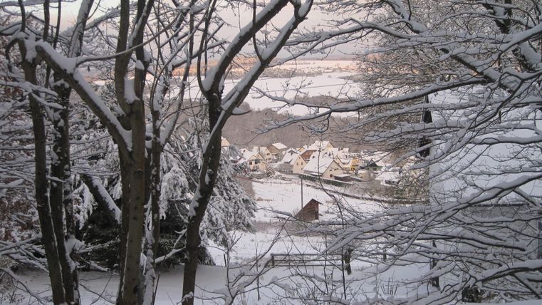 A winter landscape with snow-covered trees. In the background, small houses and a calm lake can be seen.