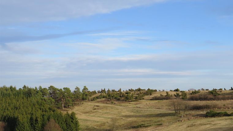 A tranquil landscape with gentle hills and trees. The sky is clear and blue.
