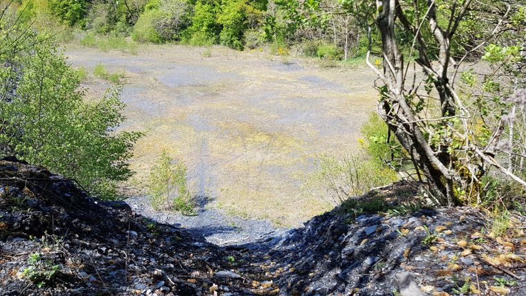 Eine Landschaft mit grünen Bäumen und einem kargen, steinigen Boden. Im Hintergrund ist eine offene Fläche zu sehen.