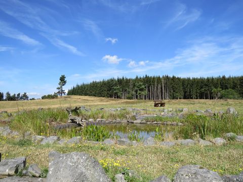 Eine friedliche Landschaft mit einer kleinen Wasserfläche und grünem Gras. Im Hintergrund sind Wald und blauer Himmel zu sehen.