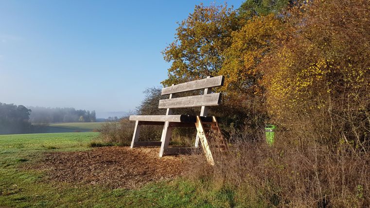 Eine große Holzbank steht auf einem grünen Feld, umgeben von Bäumen und Sträuchern. Der Himmel ist klar und die Landschaft wirkt ruhig und einladend.
