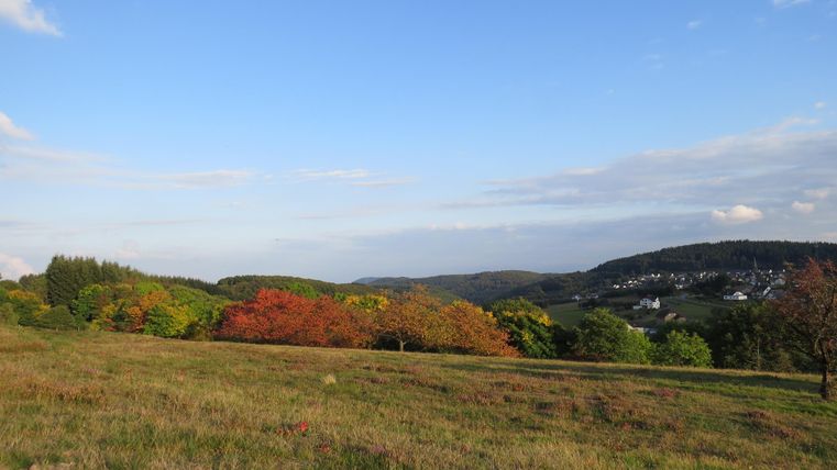 Landscape with meadows, trees in autumn colors and a village in the background under a blue sky.