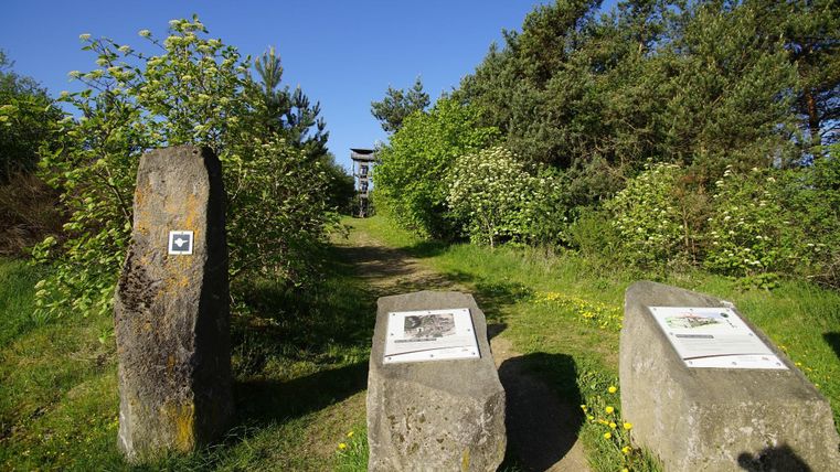 Ein Pfad durch eine grüne Landschaft mit Bäumen und Sträuchern. Zwei große Steine mit Informationstafeln stehen am Wegesrand.