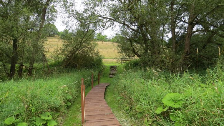 Ein Holzweg führt durch grünes Gras und Bäume. Im Hintergrund ist eine Wiese zu sehen.
