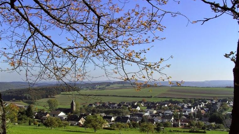 A view of the village of Boos set in a green landscape, with a tree in the foreground.