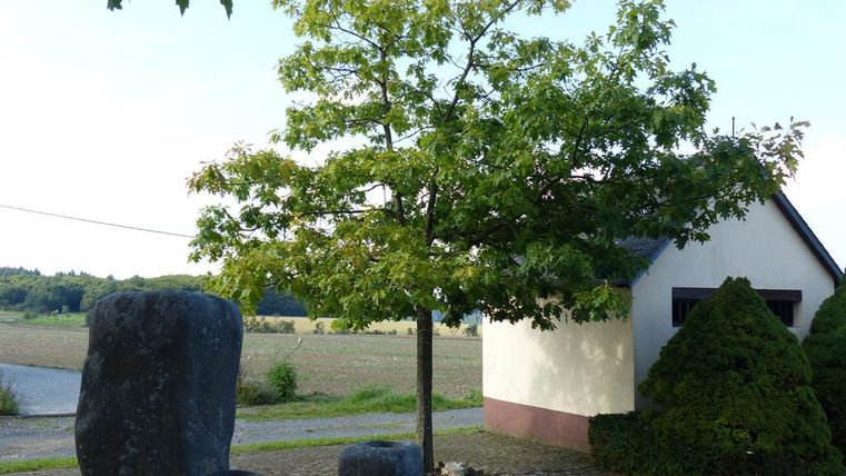 Ein schöner Baum steht neben einem kleinen Haus. Im Hintergrund sind Felder und einige große Steine zu sehen.