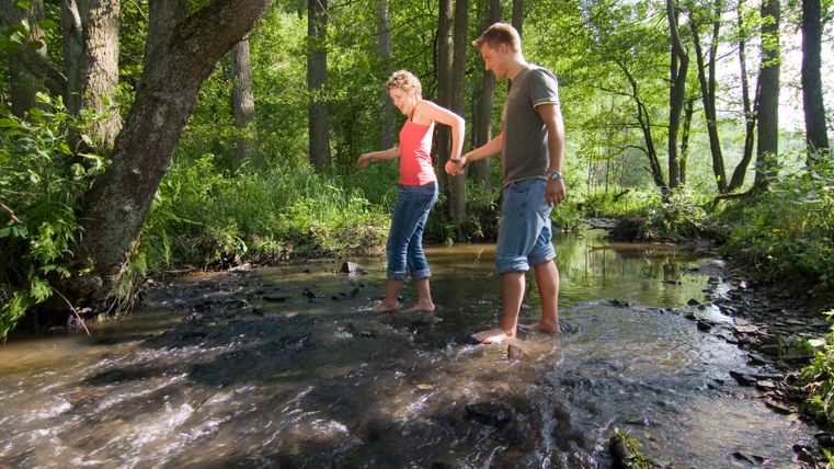 Two people wade barefoot through a stream in a forest.