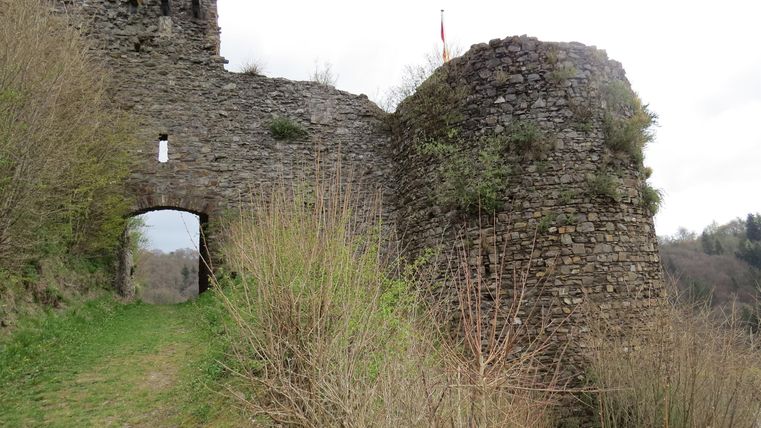 An old castle ruin surrounded by green vegetation. The entrance and the round tower are clearly visible.