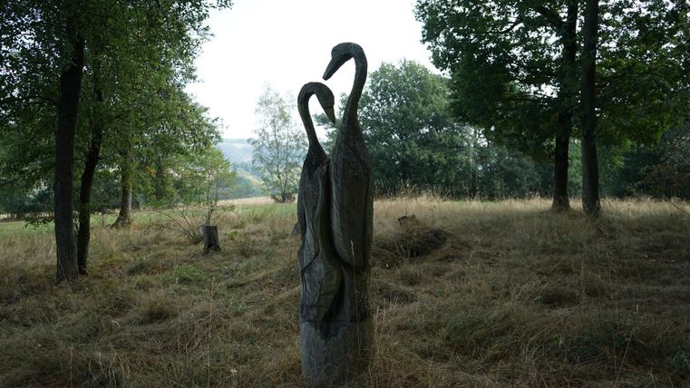 Eine Holzskulptur von zwei Schwänen steht in einer offenen Wiese. Umgeben von Bäumen und geschnittenem Gras vermittelt die Szene einen ruhigen Eindruck.