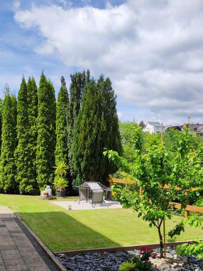 Ein schöner Garten mit hohen Zypressen und einem sonnigen Himmel. Im Vordergrund steht ein kleiner Bereich mit Kies und einer blühenden Pflanze.