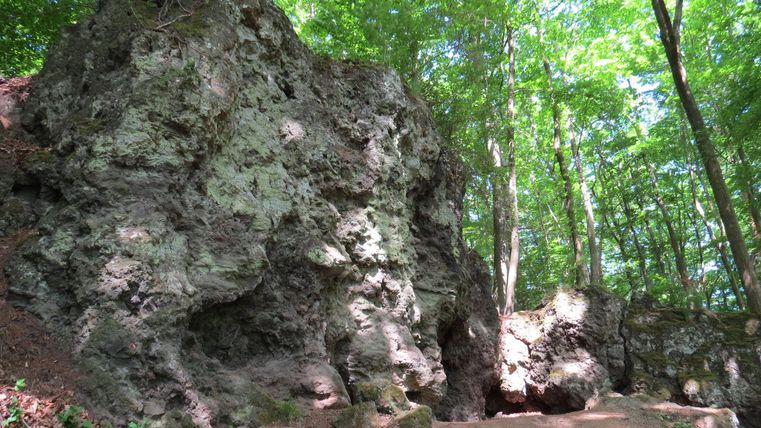 A large rock formation in a forest with green trees. The path is earthy and surrounded by nature.