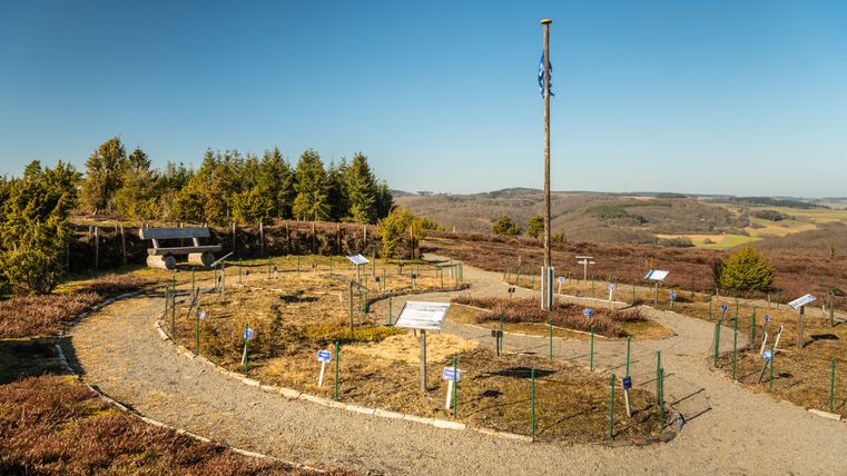 Aussichtspunkt mit Bank und Fahnenmast auf dem Wabelsberg, umgeben von Heidelandschaft und Bäumen.