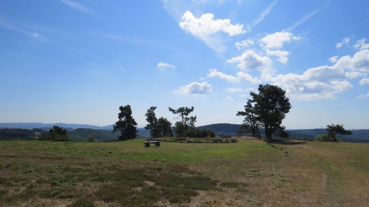 Eine weite Landschaft mit grünen Wiesen und vereinzelten Bäumen unter einem blauen Himmel. Weiße Wolken ziehen über die Szenerie.