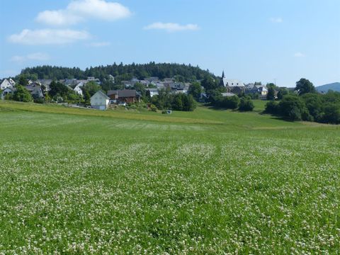 Eine grüne Wiese mit vielen kleinen weißen Blumen erstreckt sich bis zum Horizont. Im Hintergrund sind Häuser und sanfte Hügel zu sehen.