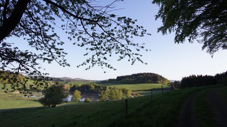 An idyllic landscape with green meadows and gentle hills. In the foreground, there are trees and a path that leads into the distance.