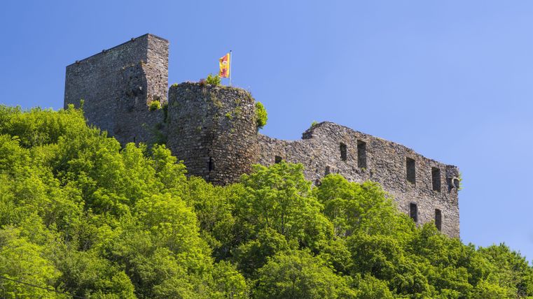 Eine alte Ruine auf einem bewaldeten Hügel. Der Himmel ist blau und sonnig.