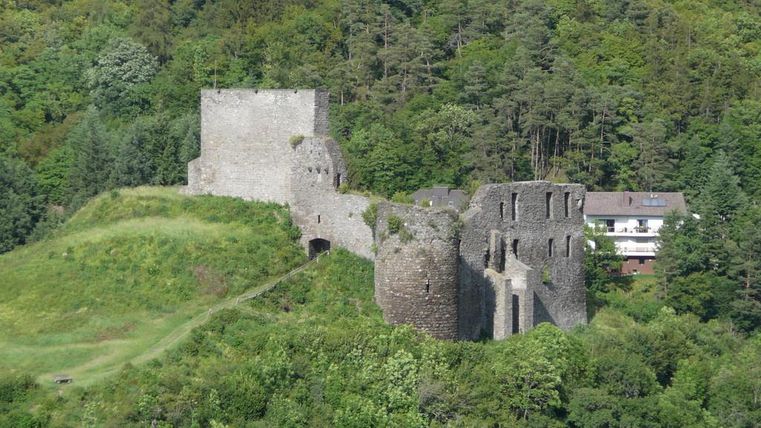 Eine alte Burgruine auf einem Hügel, umgeben von Bäumen und Wiese. Im Hintergrund ist ein Gebäude sichtbar.