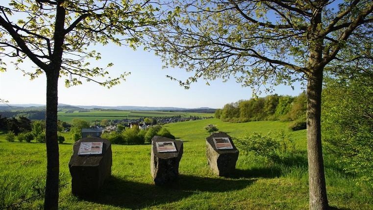 A picturesque view from a hill with three stones displaying information panels. Below, a green landscape stretches out with trees and a small village.