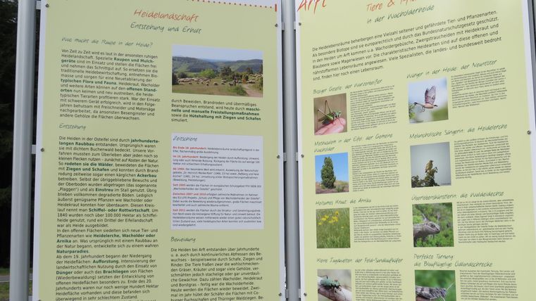 Informationstafeln zu Naturthemen in deutscher Sprache. Sie enthalten Texte und Bilder, die verschiedene Aspekte der Natur und Umwelt vorstellen.