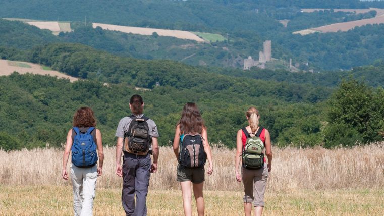 Vier Wanderer auf einem Feld mit Blick auf die Burgruine Monreal in der Ferne.
