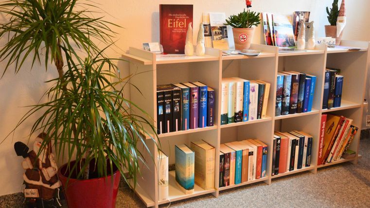 A bookshelf with various books and plants. On the top shelf, some decorative items and magazines are visible.