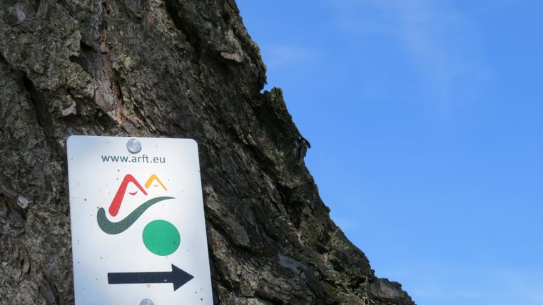 A signpost with a green dot and an arrow on a tree trunk against a blue sky.