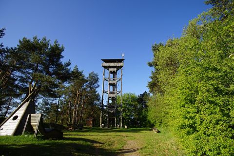 Ein Aussichtsturm umgeben von Bäumen und einem klaren blauen Himmel. Der Weg führt durch eine grüne Landschaft.