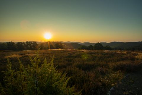 Ein Paar steht im flachen Wasser eines Baches und genießt die Natur. Umgeben von grünen Bäumen und einem sonnigen, klaren Himmel wirkt die Szene friedlich und entspannend.