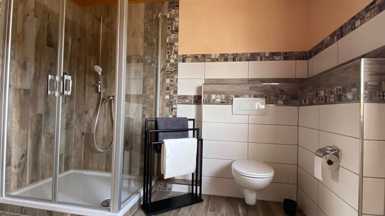 Ein modernes Badezimmer mit einer Dusche und einer Toilette. Die Wände sind hell gefliest und der Boden ist aus Holz.