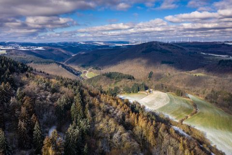 Eine malerische Landschaft mit sanften Hügeln und bewaldeten Bereichen. Im Hintergrund sind Windkraftanlagen sichtbar.