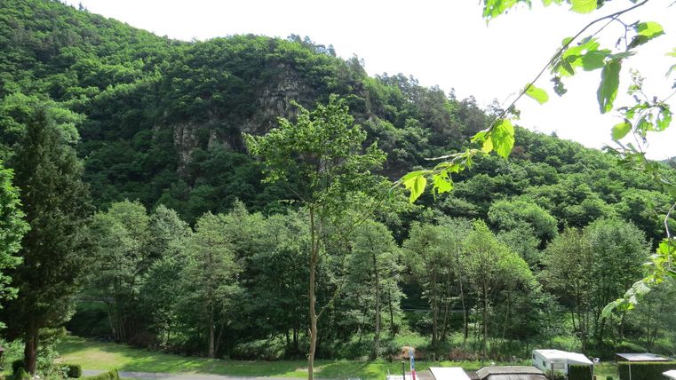 Eine grüne Landschaft mit vielen Bäumen und einem sanften Hügel im Hintergrund. Im Vordergrund sind einige Fahrzeuge und eine ruhige Straße zu sehen.