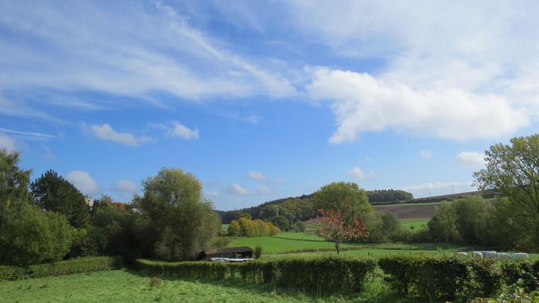 Eine grüne Landschaft mit sanften Hügeln und Bäumen. Der Himmel ist blau mit einigen weißen Wolken.