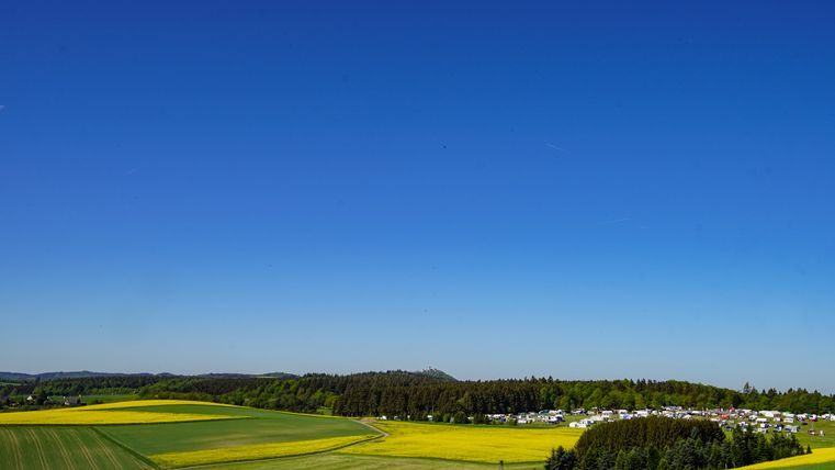 Weitblick über Rapsfelder mit Wald und blauem Himmel