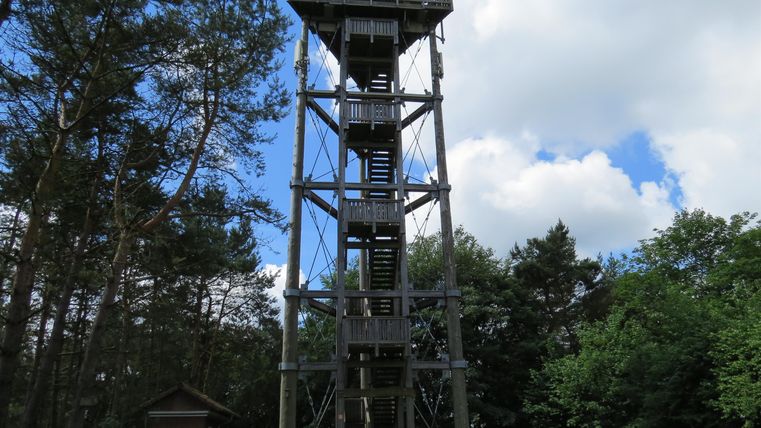 Ein großer Aussichtsturm aus Holz, umgeben von Bäumen. Der Himmel ist bewölkt und die Umgebung wirkt naturnah.