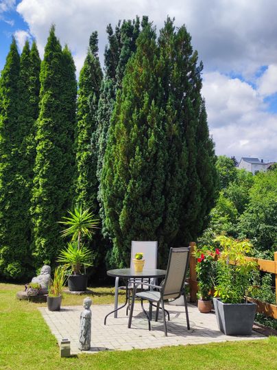 Ein gemütlicher Garten mit einer Sitzecke.