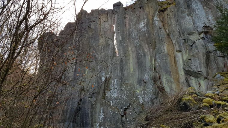 Ein beeindruckender Felsen mit einer rauen Oberfläche und umgebenden Bäumen. Die Szene strahlt natürliche Schönheit und Ruhe aus.