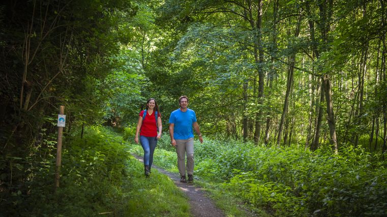 Two people are walking along a forest path in the countryside.